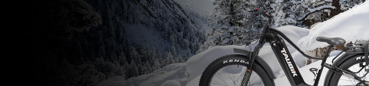 Fat Tire Bikes