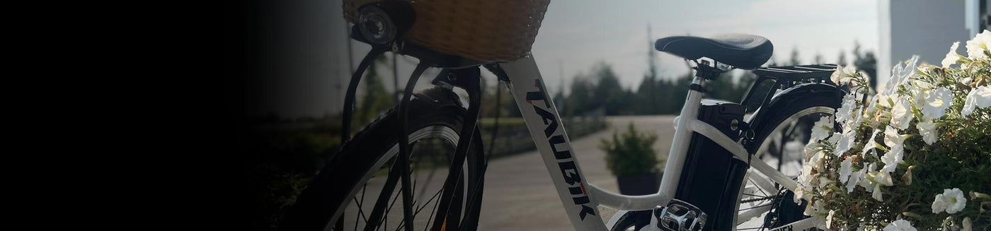Archived eBikes
