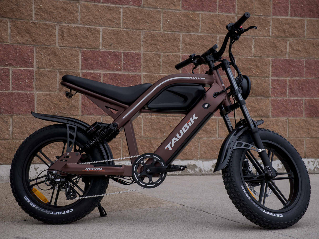Taubik Recon - Cafe Racer Style eBike