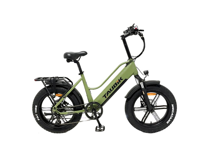 Aspect Small Fat Tire Electric Bike Taubik – TAUBIK E-BIKES
